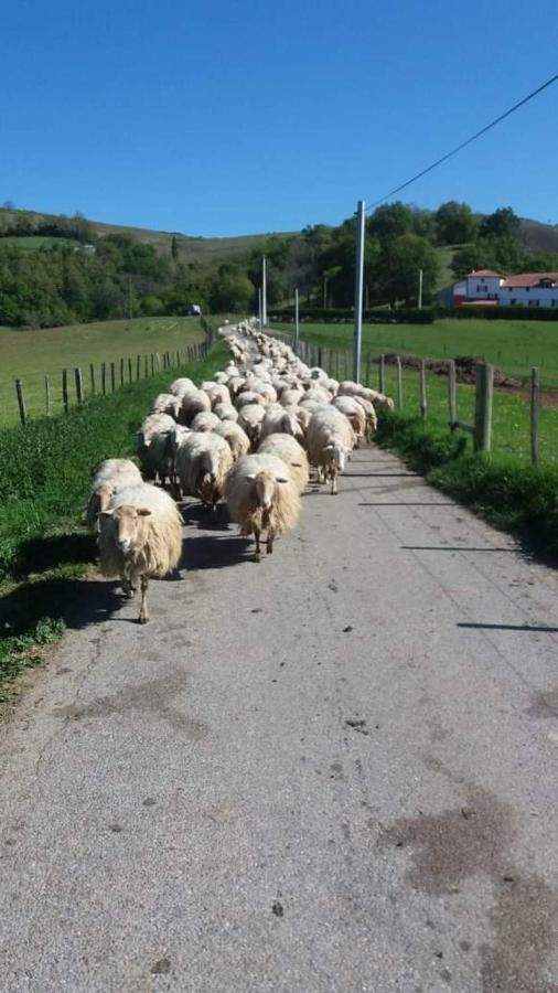 Gite A La Ferme Larranda Suhescun Екстер'єр фото